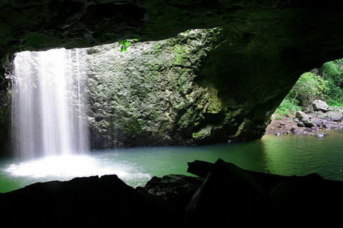 Natural Bridge & Springbrook Waterfalls Tour + Hot Air Balloon With Breakfast - QLD Tourism 2