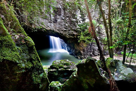 Natural Bridge & Springbrook Waterfalls Tour + Hot Air Balloon With Breakfast - QLD Tourism 4