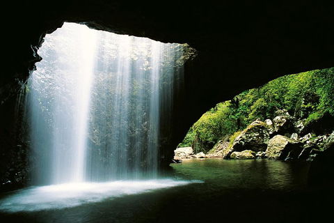 Natural Bridge & Springbrook Waterfalls Tour - QLD Tourism 0