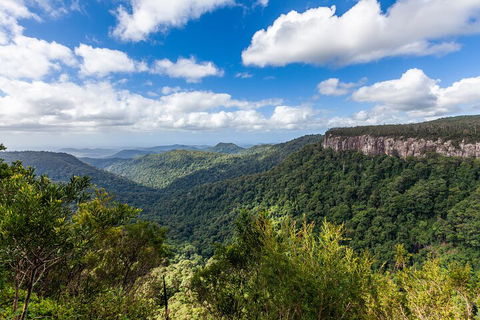 Natural Bridge & Springbrook Waterfalls Tour - QLD Tourism 1