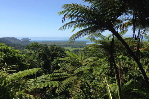 Daintree And Cape Tribulation Full Day Guided Tour - QLD Tourism 2