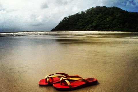 Daintree And Cape Tribulation Full Day Guided Tour - QLD Tourism 4