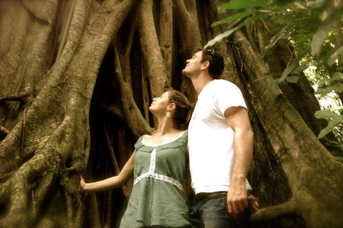 Daintree And Cape Tribulation Full Day Guided Tour - QLD Tourism 5