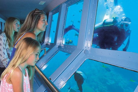 Quicksilver Outer Great Barrier Reef Snorkel Cruise From Port Douglas - QLD Tourism 1