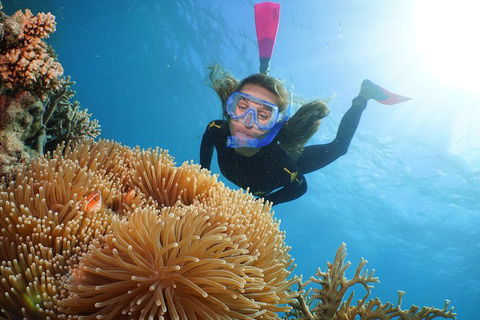 Quicksilver Outer Great Barrier Reef Snorkel Cruise From Port Douglas - QLD Tourism 2
