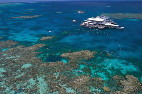 Quicksilver Outer Great Barrier Reef Snorkel Cruise From Port Douglas - QLD Tourism 3