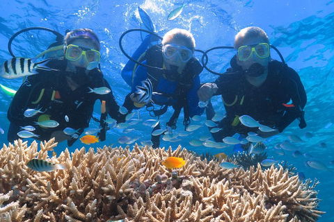 Quicksilver Outer Great Barrier Reef Snorkel Cruise From Port Douglas - QLD Tourism 4