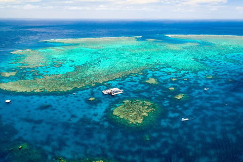 Quicksilver Outer Great Barrier Reef Snorkel Cruise From Port Douglas - QLD Tourism 5