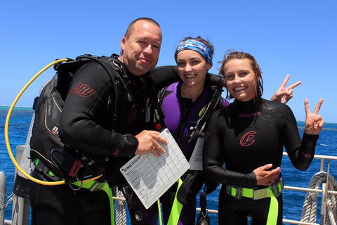Quicksilver Dive 4 Day PADI Learn To Dive Course - QLD Tourism 0