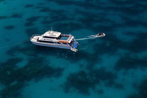Quicksilver Dive 4 Day PADI Learn To Dive Course - QLD Tourism 1