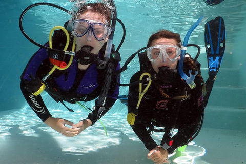 Quicksilver Dive 4 Day PADI Learn To Dive Course - QLD Tourism 2