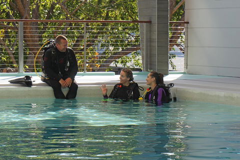 Quicksilver Dive 4 Day PADI Learn To Dive Course - QLD Tourism 3