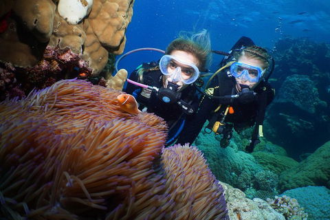 Quicksilver Dive 4 Day PADI Learn To Dive Course - QLD Tourism 4