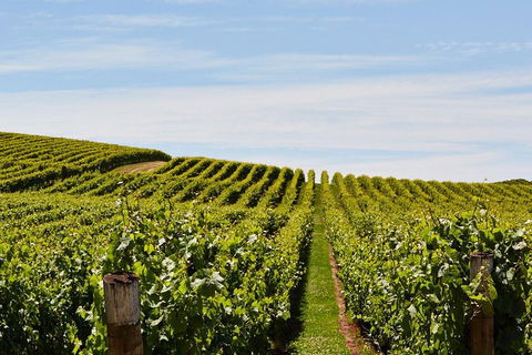West Tamar Wine Tour - QLD Tourism 2