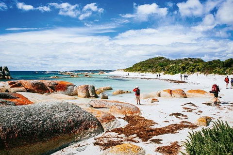 Wineglass Bay Private Charter Service - QLD Tourism 3