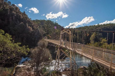 Launceston Private Charter Service - QLD Tourism 5