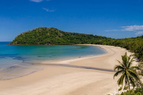 Daintree And Cape Tribulation Tour From Cairns - Queensland Tourism 1