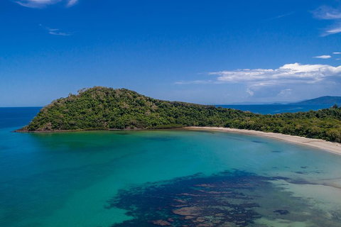 Daintree And Cape Tribulation Tour From Cairns - Queensland Tourism 4