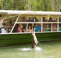Hartley's Crocodile Adventure Half-Day Tour - QLD Tourism