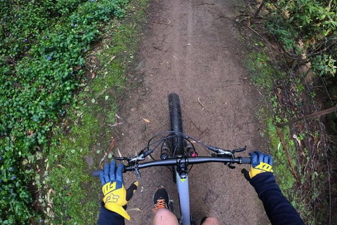 Explore Downhill Mountain In 3-Hour Bike Tour From Hobart - QLD Tourism 2