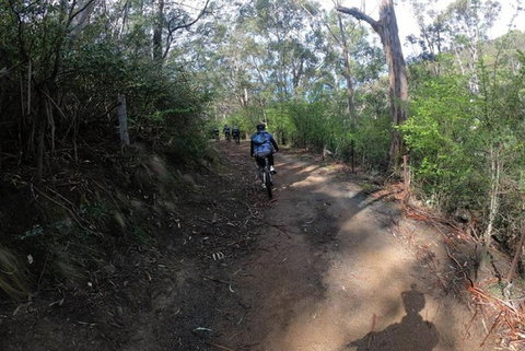 Explore Downhill Mountain In 3-Hour Bike Tour From Hobart - QLD Tourism 3