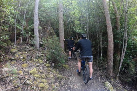 Explore Downhill Mountain In 3-Hour Bike Tour From Hobart - QLD Tourism 4