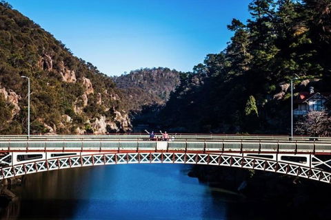 3.5 Hours Walking Tour To Cataract Gorge With Local Guide - QLD Tourism 4
