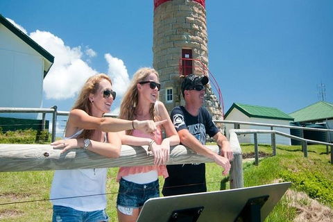 Full-Day Moreton Island 4x4 Sightseeing Tour - QLD Tourism 3