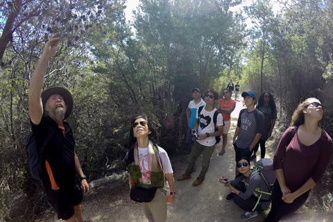 Active Day Tour One-Way From Launceston To Hobart Via Wineglass Bay - QLD Tourism 0
