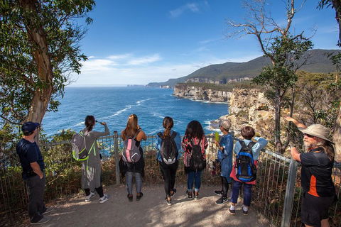 Port Arthur And Tassie Devils Active Day Tour From Hobart - QLD Tourism 0