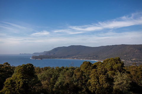 Port Arthur And Tassie Devils Active Day Tour From Hobart - QLD Tourism 5