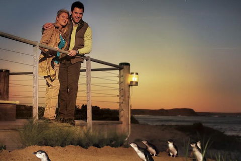 The Ultimate Melbourne Attractions Pass - QLD Tourism 3