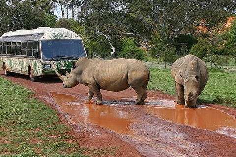 The Ultimate Melbourne Attractions Pass - QLD Tourism 4
