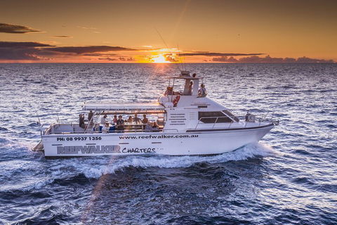 Kalbarri Sunset Coastal Cliff Cruise - QLD Tourism 2