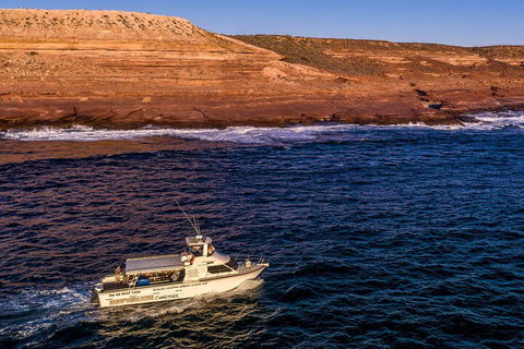 Kalbarri Sunset Coastal Cliff Cruise - QLD Tourism 4