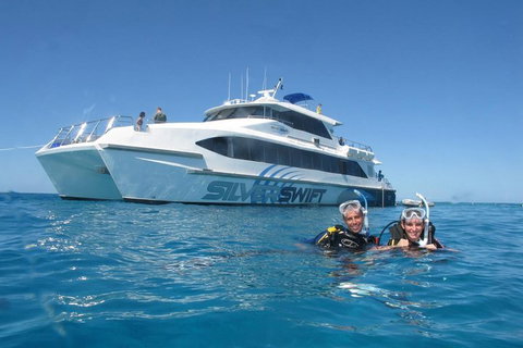 Silverswift Outer Great Barrier Reef Dive And Snorkel Cruise From Cairns - QLD Tourism 4
