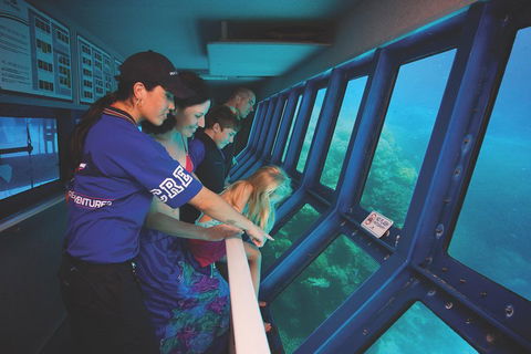 Great Barrier Reef Adventure From Cairns - QLD Tourism 0