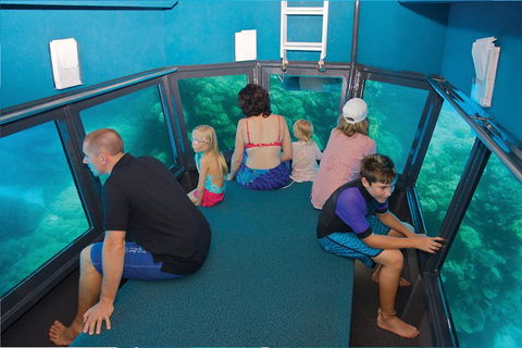 Great Barrier Reef Adventure From Cairns - QLD Tourism 1