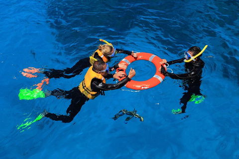 Great Barrier Reef Adventure From Cairns - QLD Tourism 3