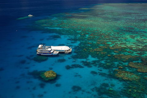 Great Barrier Reef Adventure From Cairns - QLD Tourism 4