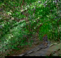 Green Island Eco Adventure from Cairns - QLD Tourism