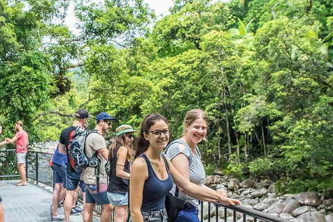 Cape Tribulation, Mossman Gorge, And Daintree Rainforest Day Trip From Cairns Or Port Douglas - QLD Tourism 0