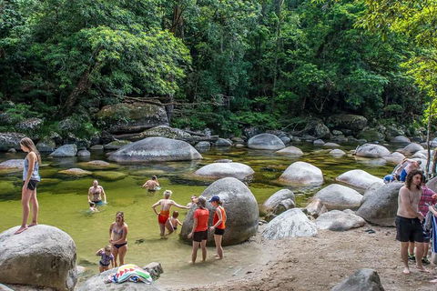 Cape Tribulation, Mossman Gorge, And Daintree Rainforest Day Trip From Cairns Or Port Douglas - QLD Tourism 1