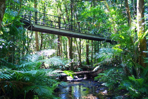Cape Tribulation, Mossman Gorge, And Daintree Rainforest Day Trip From Cairns Or Port Douglas - QLD Tourism 3