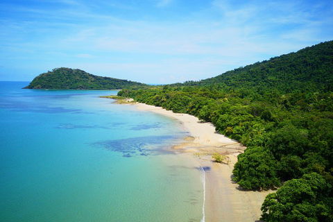 Cape Tribulation, Mossman Gorge, And Daintree Rainforest Day Trip From Cairns Or Port Douglas - QLD Tourism 5