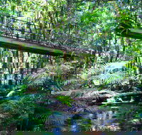 Double Pack-Ancient Rainforest and Waterfalls - QLD Tourism