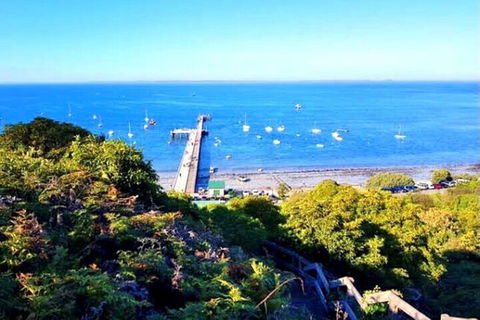 Mornington Peninsula Sightseeing Tour For 2-6 Guests. - QLD Tourism 1