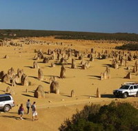 1-Day Pinnacles and Yanchep Tour from Perth including Fish and Chips Lunch - QLD Tourism