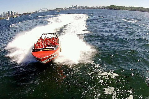Sydney Harbour Jet Boat Thrill Ride: 30 Minutes - Queensland Tourism 0