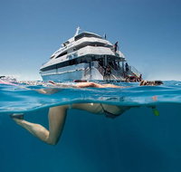 3 Day Great Barrier Reef Daintree Rainforest and Outback Chillagoe Tour - QLD Tourism